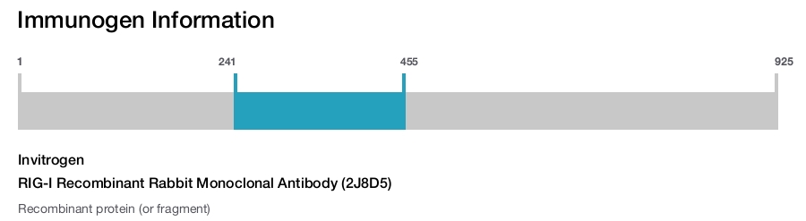 RIG-I Recombinant Rabbit Monoclonal Antibody (2J8D5)