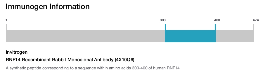 RNF14 Recombinant Rabbit Monoclonal Antibody (4X10Q6)