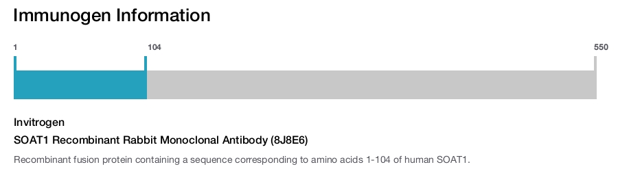 SOAT1 Recombinant Rabbit Monoclonal Antibody (8J8E6)