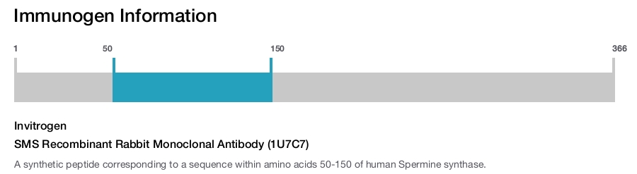 SMS Recombinant Rabbit Monoclonal Antibody (1U7C7)