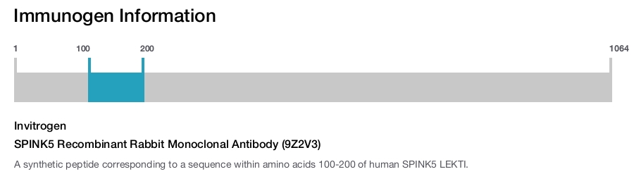 SPINK5 Recombinant Rabbit Monoclonal Antibody (9Z2V3)