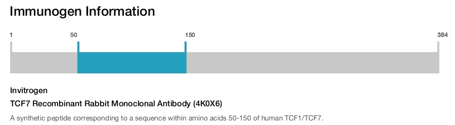 TCF7 Recombinant Rabbit Monoclonal Antibody (4K0X6)