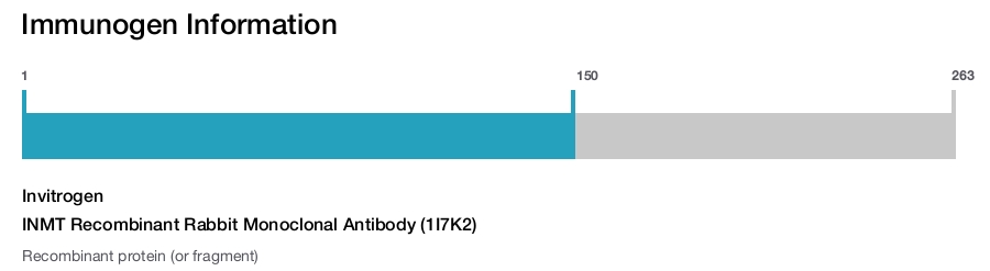INMT Recombinant Rabbit Monoclonal Antibody (1I7K2)