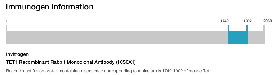 TET1 Recombinant Rabbit Monoclonal Antibody (10S0X1)