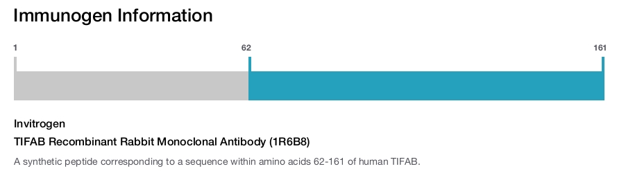 TIFAB Recombinant Rabbit Monoclonal Antibody (1R6B8)