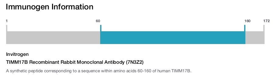 TIMM17B Recombinant Rabbit Monoclonal Antibody (7N3Z2)