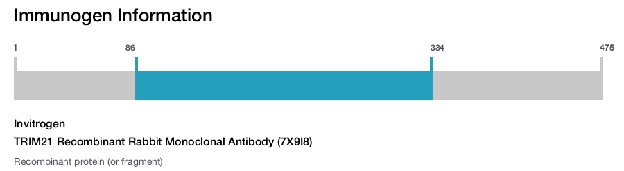 TRIM21 Recombinant Rabbit Monoclonal Antibody (7X9I8)