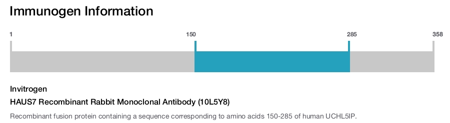 HAUS7 Recombinant Rabbit Monoclonal Antibody (10L5Y8)