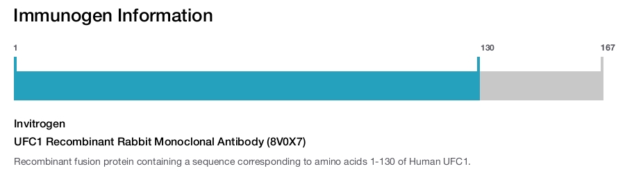 UFC1 Recombinant Rabbit Monoclonal Antibody (8V0X7)