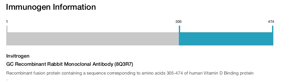 GC Recombinant Rabbit Monoclonal Antibody (8Q3R7)