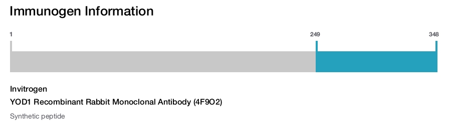YOD1 Recombinant Rabbit Monoclonal Antibody (4F9O2)