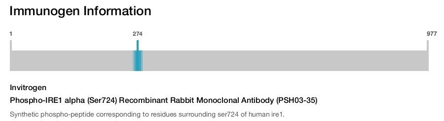 Phospho-IRE1 alpha (Ser724) Recombinant Rabbit Monoclonal Antibody (PSH03-35)