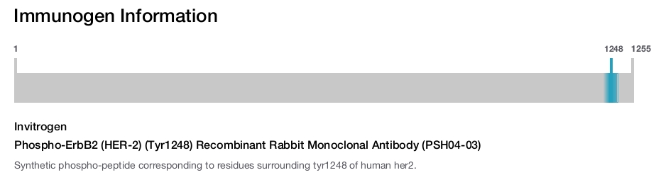 Phospho-ErbB2 (HER-2) (Tyr1248) Recombinant Rabbit Monoclonal Antibody (PSH04-03)