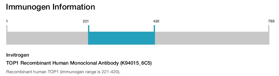 TOP1 Recombinant Human Monoclonal Antibody (K94015_6C5)