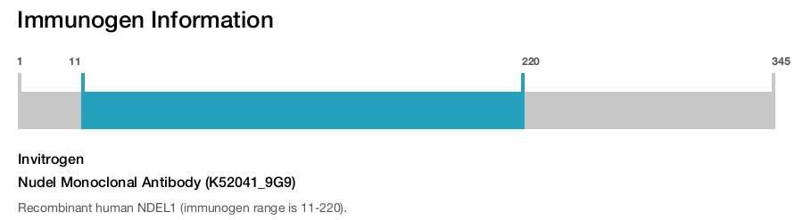 Nudel Monoclonal Antibody (K52041_9G9)