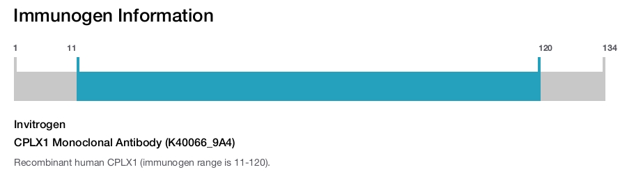 CPLX1 Monoclonal Antibody (K40066_9A4)