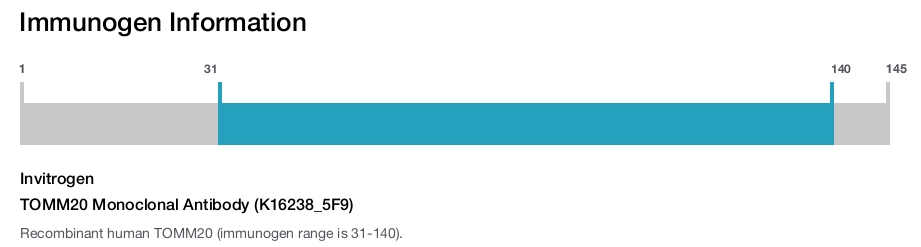 TOMM20 Monoclonal Antibody (K16238_5F9)