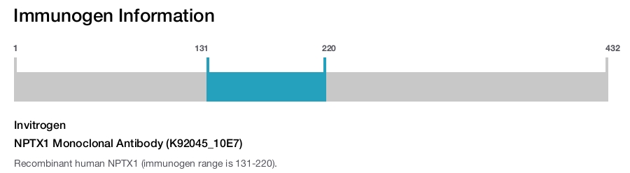 NPTX1 Monoclonal Antibody (K92045_10E7)