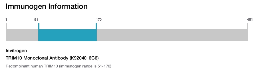 TRIM10 Monoclonal Antibody (K92040_6C6)