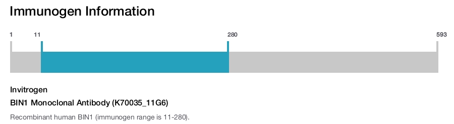 BIN1 Monoclonal Antibody (K70035_11G6)