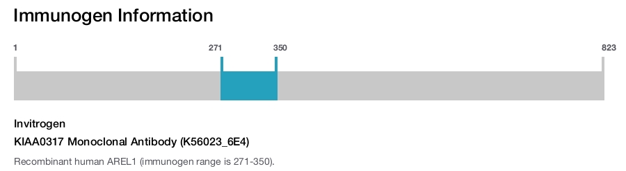 KIAA0317 Monoclonal Antibody (K56023_6E4)