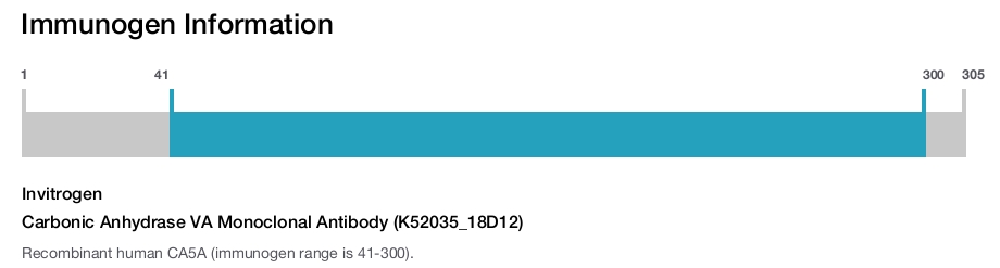 Carbonic Anhydrase VA Monoclonal Antibody (K52035_18D12)
