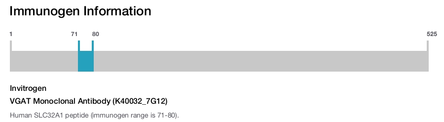 VGAT Monoclonal Antibody (K40032_7G12)