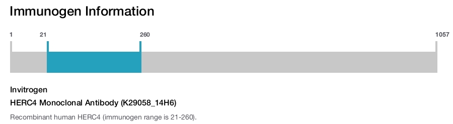 HERC4 Monoclonal Antibody (K29058_14H6)