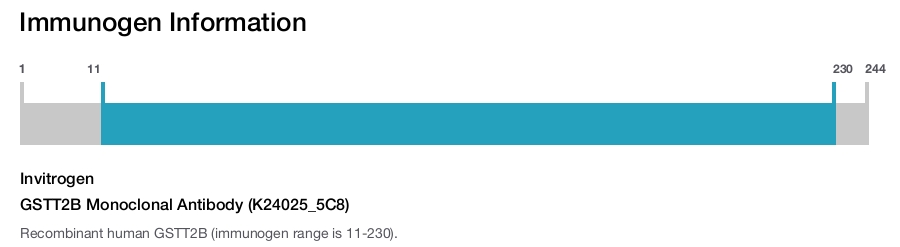 GSTT2B Monoclonal Antibody (K24025_5C8)