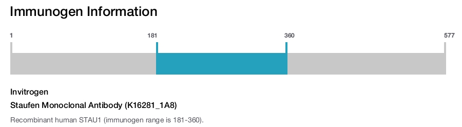 Staufen Monoclonal Antibody (K16281_1A8)