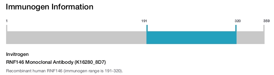 RNF146 Monoclonal Antibody (K16280_8D7)