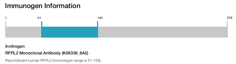 RFPL2 Monoclonal Antibody (K06336_6A2)