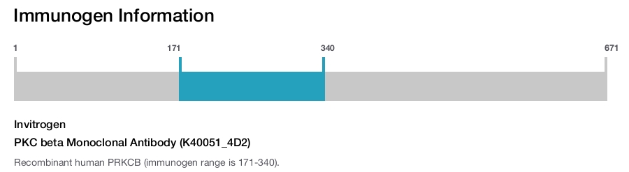 PKC beta Monoclonal Antibody (K40051_4D2)