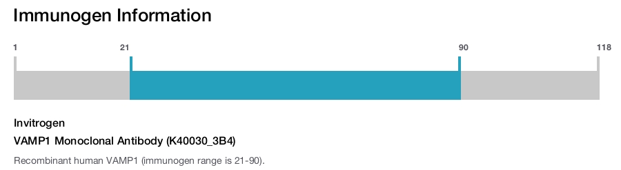 VAMP1 Monoclonal Antibody (K40030_3B4)