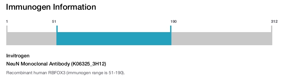 NeuN Monoclonal Antibody (K06325_3H12)