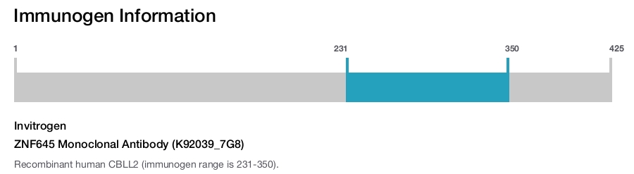 ZNF645 Monoclonal Antibody (K92039_7G8)