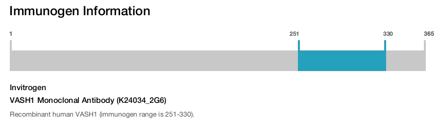 VASH1 Monoclonal Antibody (K24034_2G6)
