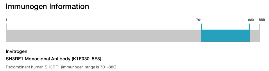 SH3RF1 Monoclonal Antibody (K1E030_5E8)