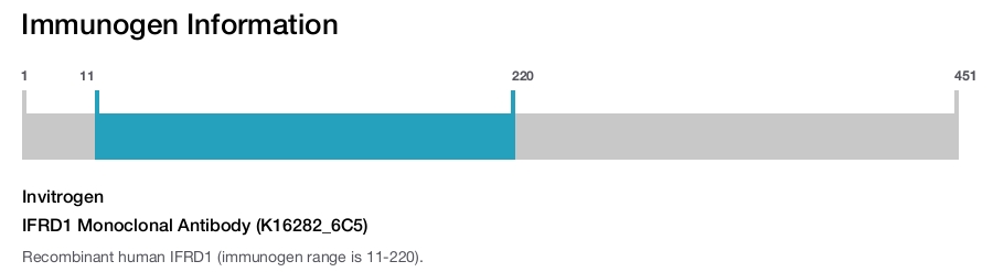 IFRD1 Monoclonal Antibody (K16282_6C5)