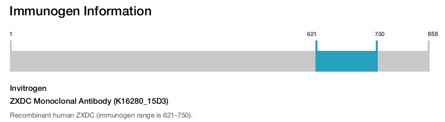 ZXDC Monoclonal Antibody (K16280_15D3)