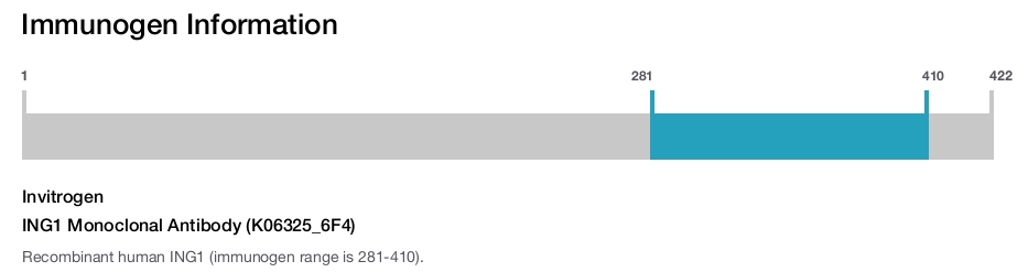 ING1 Monoclonal Antibody (K06325_6F4)