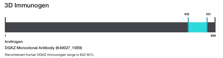 DGKZ Monoclonal Antibody (K49027_10E9)