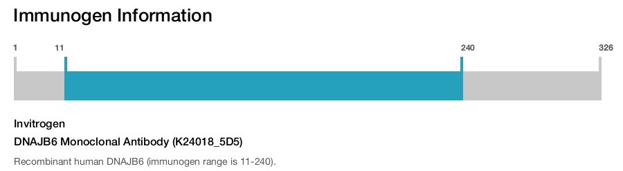 DNAJB6 Monoclonal Antibody (K24018_5D5)