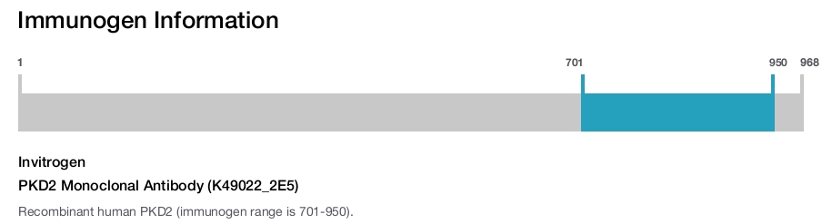 PKD2 Monoclonal Antibody (K49022_2E5)