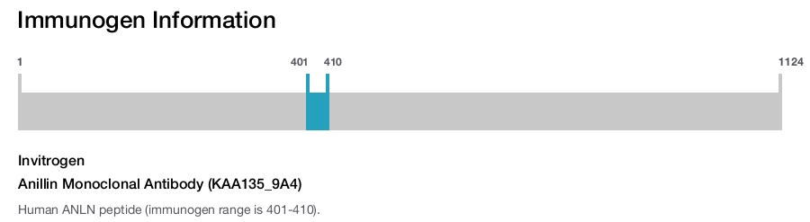 Anillin Monoclonal Antibody (KAA135_9A4)
