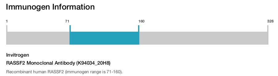 RASSF2 Monoclonal Antibody (K94034_20H8)