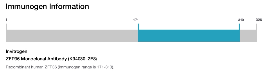 ZFP36 Monoclonal Antibody (K94030_2F8)