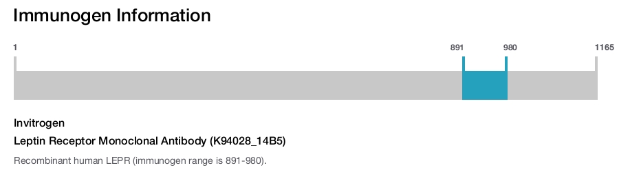 Leptin Receptor Monoclonal Antibody (K94028_14B5)