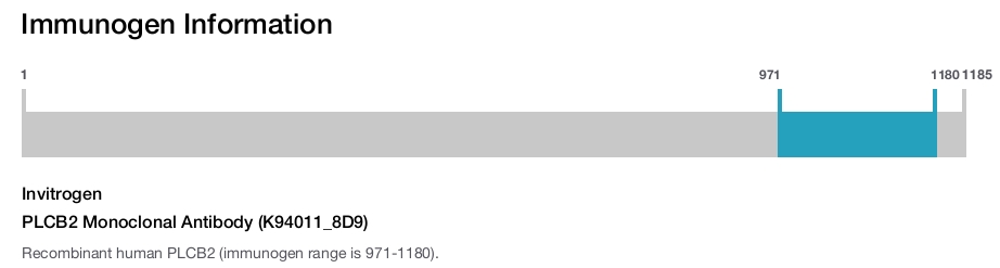 PLCB2 Monoclonal Antibody (K94011_8D9)