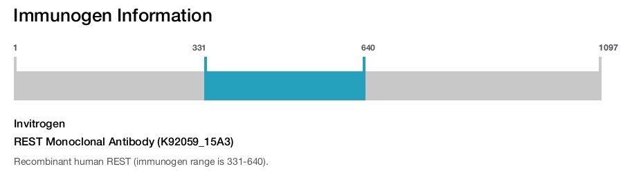 REST Monoclonal Antibody (K92059_15A3)